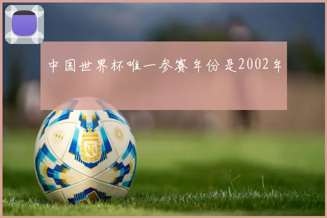 中国世界杯唯一参赛年份是2002年