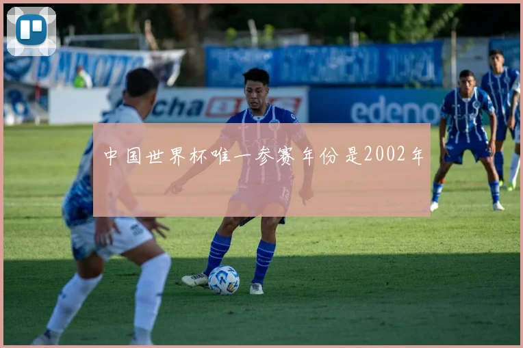 中国世界杯唯一参赛年份是2002年