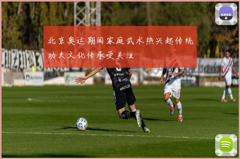 北京奥运期间家庭武术热兴起传统功夫文化传承受关注