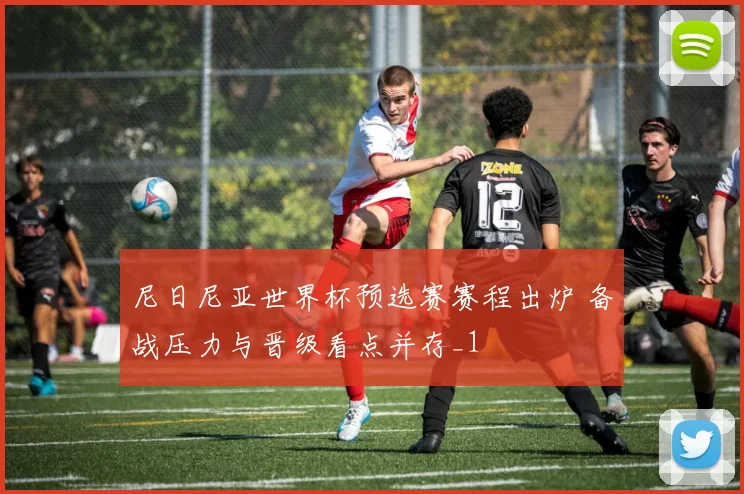 尼日尼亚世界杯预选赛赛程出炉 备战压力与晋级看点并存_1