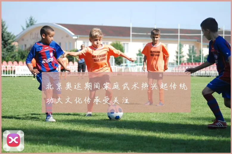 北京奥运期间家庭武术热兴起传统功夫文化传承受关注