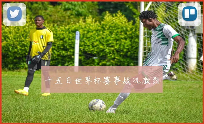 十五日世界杯赛事战况激烈