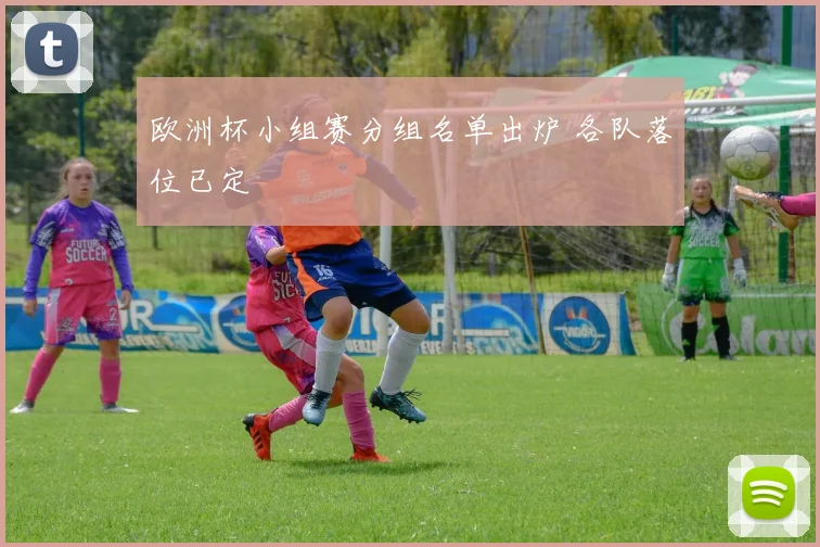 欧洲杯小组赛分组名单出炉 各队落位已定