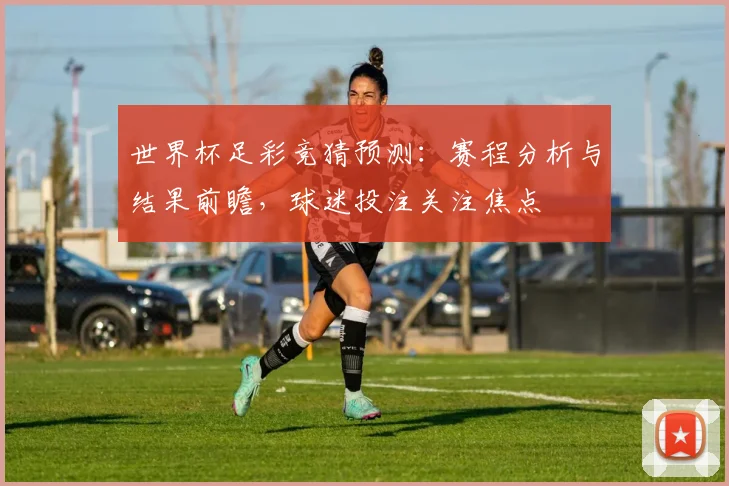 世界杯足彩竞猜预测:赛程分析与结果前瞻,球迷投注关注焦点