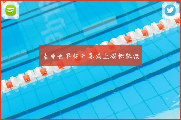 南非世界杯开幕式上旗帜飘扬