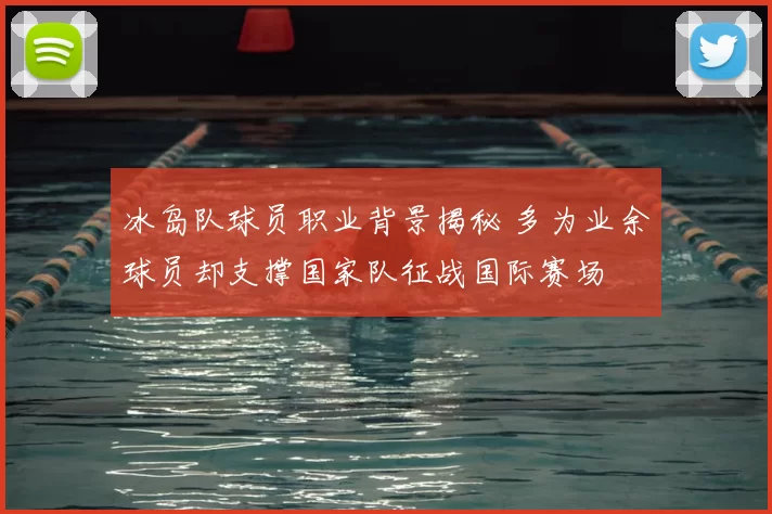 冰岛队球员职业背景揭秘 多为业余球员却支撑国家队征战国际赛场