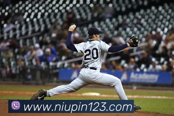 压球首页平台生态图