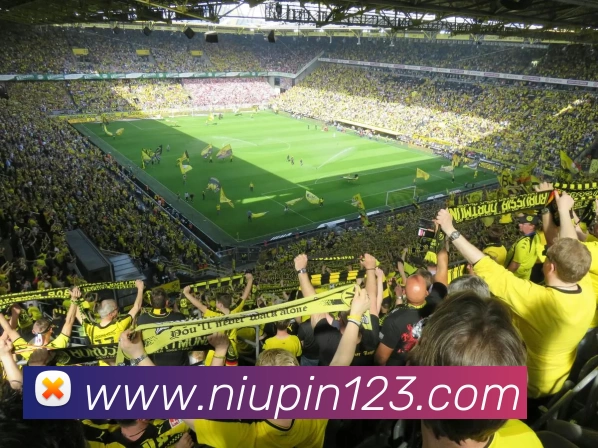 压球首页全站App